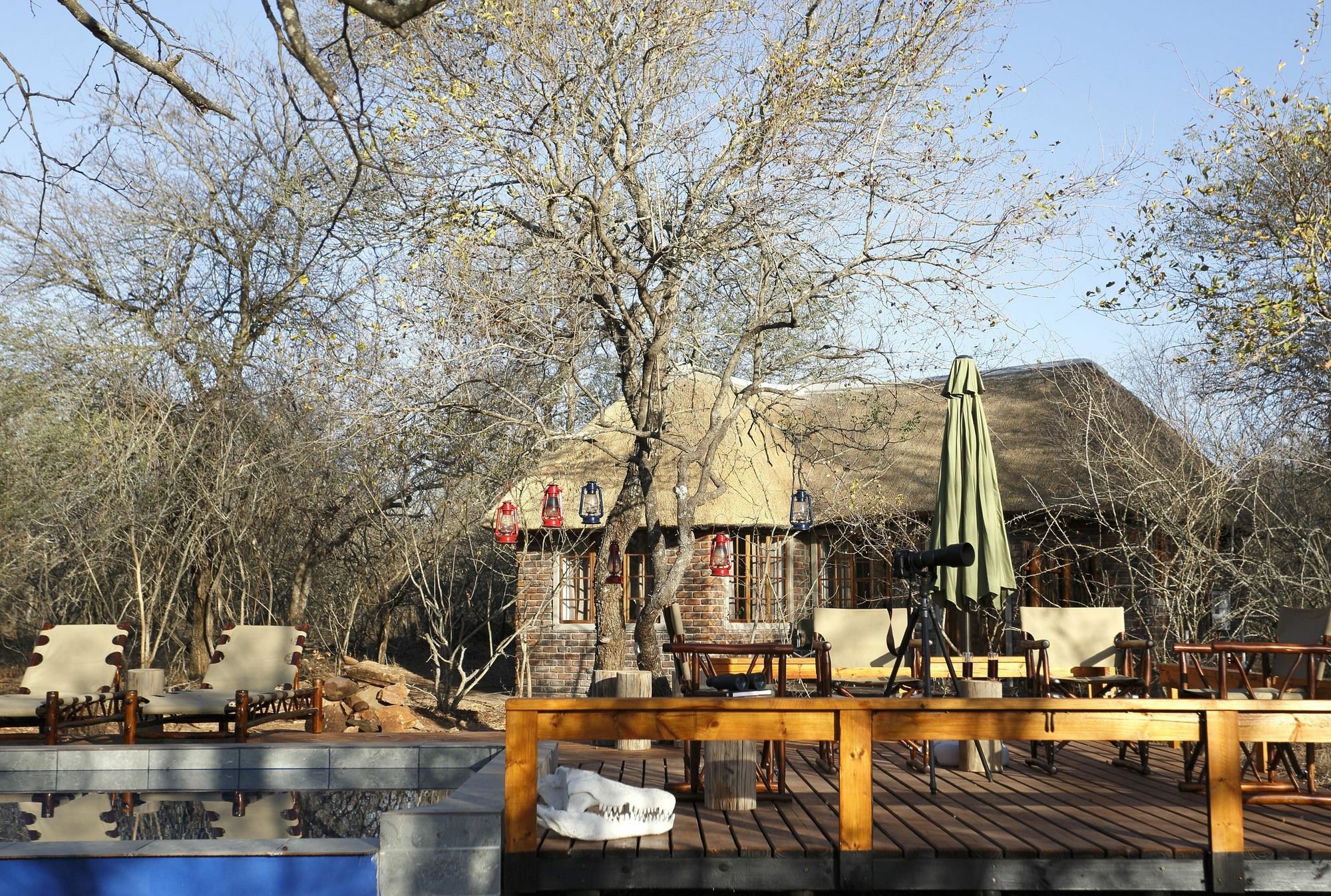 Tusk Bush Lodge Marloth Park Exterior foto