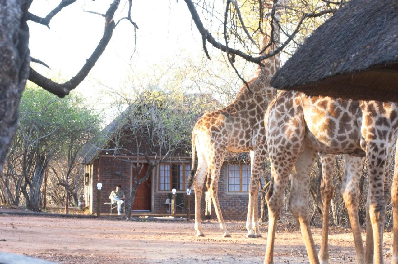 Tusk Bush Lodge Marloth Park Exterior foto