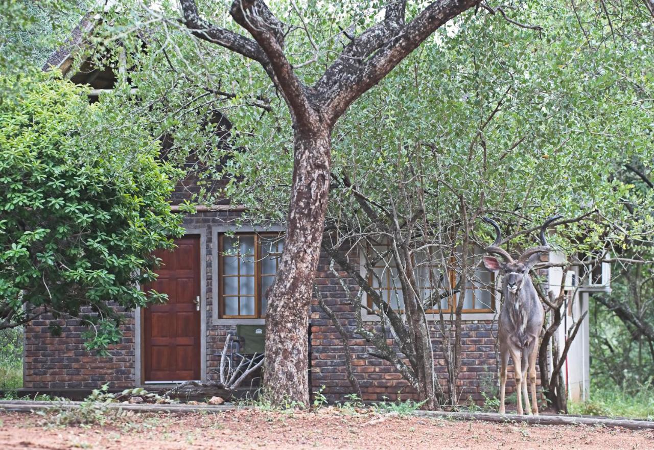 Tusk Bush Lodge Marloth Park Exterior foto